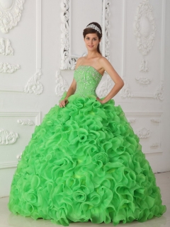 Green Ball Gown Strapless Floor-length Organza Beading Quinceanera Dress
