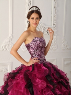 Multi-color Ball Gown Sweetheart Floor-length Leopard and Organza Ruffles Quinceanera Dress