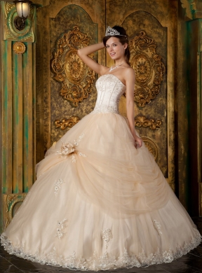 Champagne Ball Gown Strapless Floor-length Appliques Tulle Quinceanera Dress