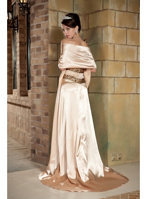 Strapless Champagne Column One Shoulder Celebrity Dresses