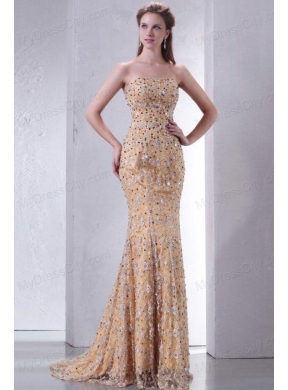 Unique Brush Train Column Prom Dress with Lace and Beading