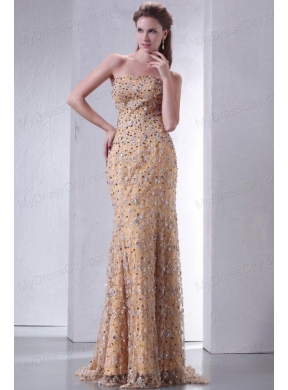 Unique Brush Train Column Prom Dress with Lace and Beading