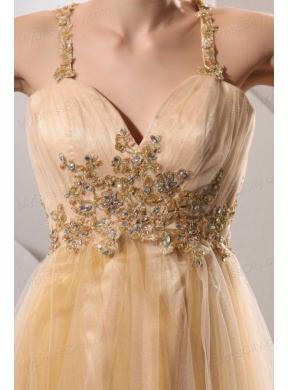 A-line Gold Straps Appliques and Ruching Floor-length Organza Prom Dress