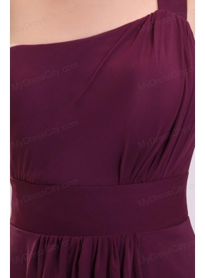 Simple Empire Ruching Purple Long Prom Dress One Shoulder