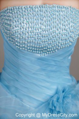 Baby Blue Pick-ups Organza Beading Evening Dresses for Celebrity