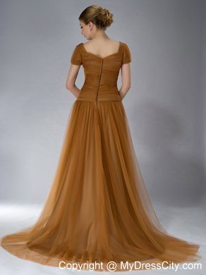 Brown Square Brush Train Mother Of The Bride Dress Tulle Appliques