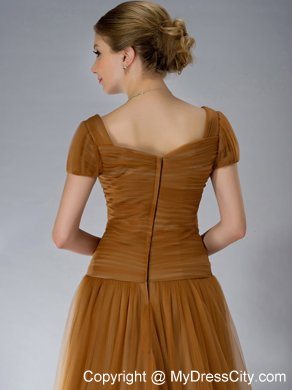 Brown Square Brush Train Mother Of The Bride Dress Tulle Appliques