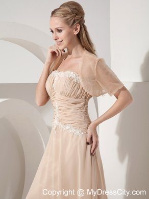 Champagne Pleadted Strapless Tea-length Appliques Mothers Dress