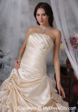 Ruched Pick-ups Court Train Wedding Gown in Champagne