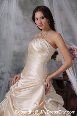 Ruched Pick-ups Court Train Wedding Gown in Champagne