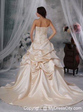 Ruched Pick-ups Court Train Wedding Gown in Champagne