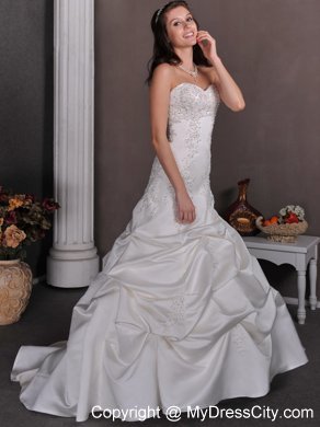 Pick-ups Appliques with Beading Court Train Bridal Dress