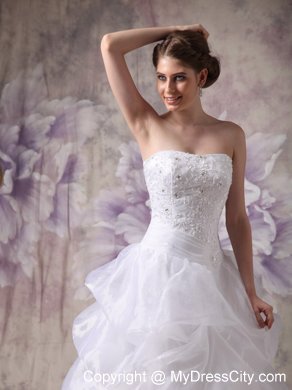 Beaded Appliques Wedding Gowns with Pick-ups and Sweep Train