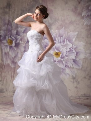 Beaded Appliques Wedding Gowns with Pick-ups and Sweep Train