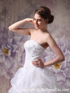 Beaded Appliques Wedding Gowns with Pick-ups and Sweep Train