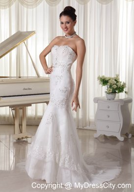 Beaded Lace Appliques Mermaid Bridal Dress with Brush Train