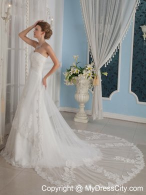 Modest Slinky Strapless Chapel Train Tulle and Lace Appliqued Wedding Dress