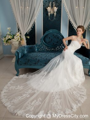 Modest Slinky Strapless Chapel Train Tulle and Lace Appliqued Wedding Dress