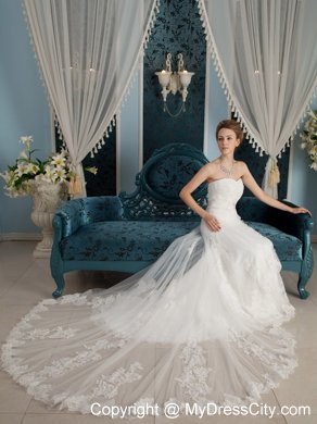 Modest Slinky Strapless Chapel Train Tulle and Lace Appliqued Wedding Dress