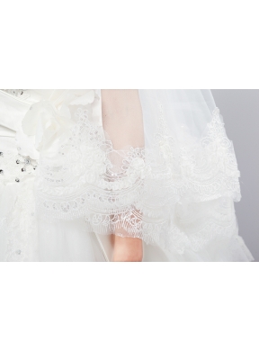 Two-Tier Drop Veil Tulle Lace Appliques Edge Wedding Veils