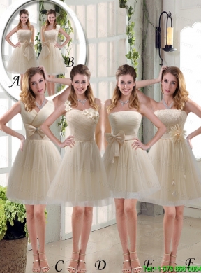 2015 Princess One Shoulder Bowknot Lace Mothr of The Bride  Dresses in Champagne