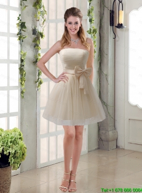 Elegant Princess Mini Length Lace Mothr of The Bride  Dress with   Bowknot