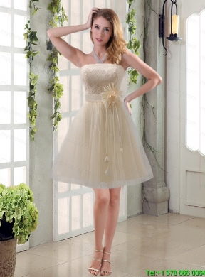 Elegant Princess Mini Length Lace Mothr of The Bride  Dress with   Bowknot