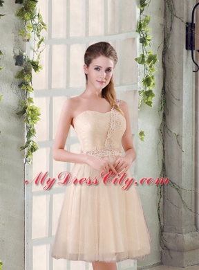 Popular A Line Appliques Bridesmaid Dress with One Shoulder