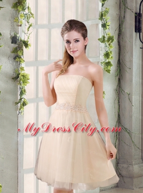 Strapless Appliques 2015 New Bridesmaid Dress in Champagne