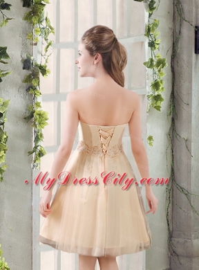 Strapless Appliques 2015 New Bridesmaid Dress in Champagne