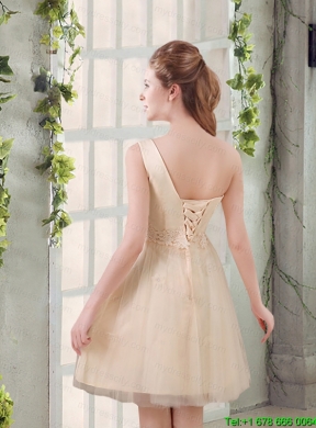 2015 Champagne One Shoulder A Line Appliques Mothr of The   Bride Dress