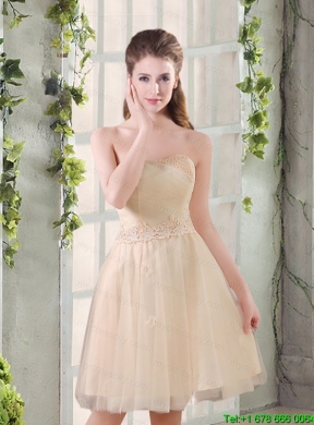 Sweetheart A Line Appliques Champagne   Mothr of The Bride Dress   for 2015