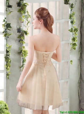 Sweetheart A Line Appliques Champagne   Mothr of The Bride Dress   for 2015