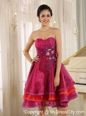 Multi-color Short Beading Decorate Homecoming Dress With Appliques