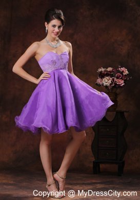 Sweetheart Lavender Short Homecoming Dress With Appliques Decorate