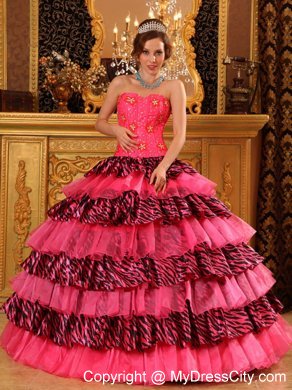 Beautiful Organza and Zebra Beading Hot Pink Dress for Quince