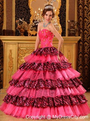 Beautiful Organza and Zebra Beading Hot Pink Dress for Quince