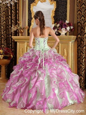 Fuchsia and Apple Green Organza Appliques Quinceanera Dress