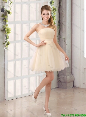 2015 Summer Perfect A Line Organza Dama Dress with Mini Length