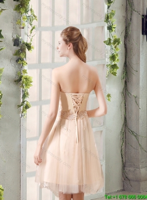 2015 Fall Champagne A Line Strapless Appliques New Style Dama Dress