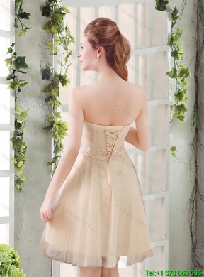 Sweetheart A Line Appliques Champagne   Pretty Dama Dress for 2015 Summer