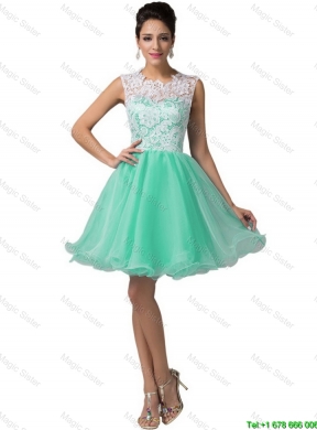 Elegant Laced Scoop A Line Prom Dresses in Apple Green