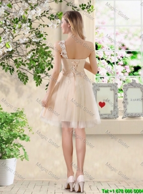 Beautiful Short Champagne Prom Dresses with One Shoulder