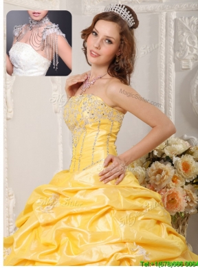 Classic  Ball Gown Court Train Appliques and Beading Quinceanera Dresses