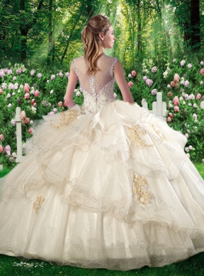 Pretty Champagne  Ball Gown Sweet 16 Dresses with Beading and Appliques