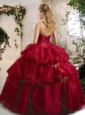 Beautiful Ball Gown Quinceanera Dresses with Beading and Pick Ups