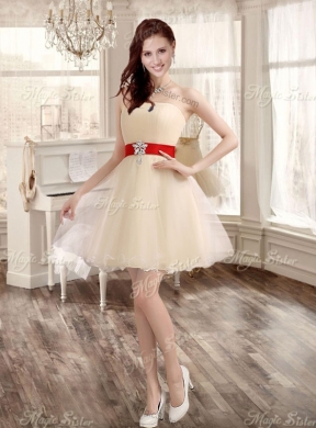 Classical Applique and Ruffled Champagne Sweet 16 Dress and Short Dama Dresses