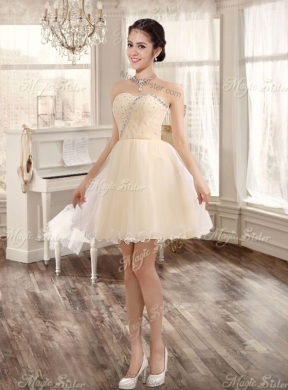 Classical Applique and Ruffled Champagne Sweet 16 Dress and Short Dama Dresses