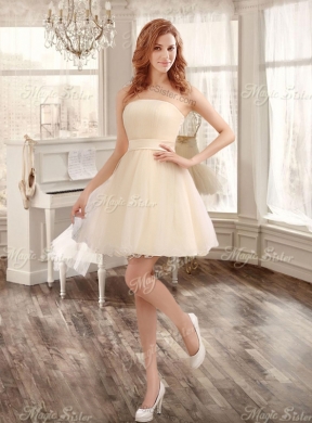 Classical Applique and Ruffled Champagne Sweet 16 Dress and Short Dama Dresses