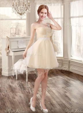 Classical Applique and Ruffled Champagne Sweet 16 Dress and Short Dama Dresses